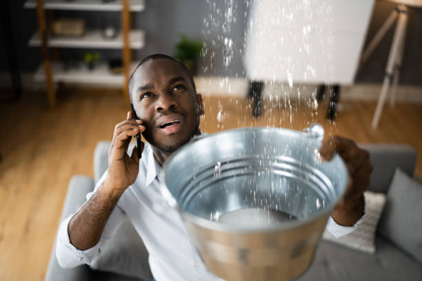 Best Carpet water damage restoration  in Rio Vista, CA