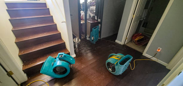 Water damage restoration experts in CA