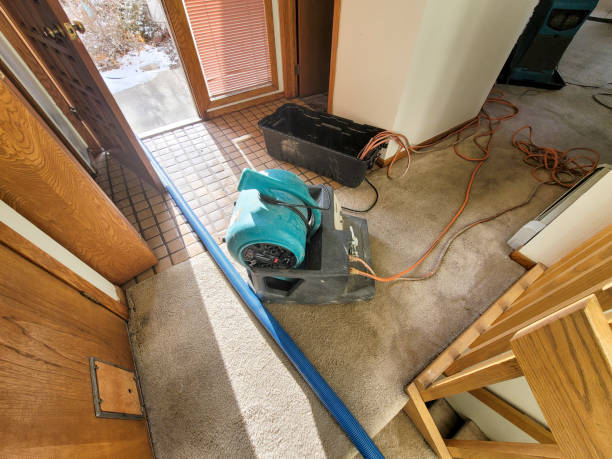 Best Water damage restoration near me  in Rio Vista, CA