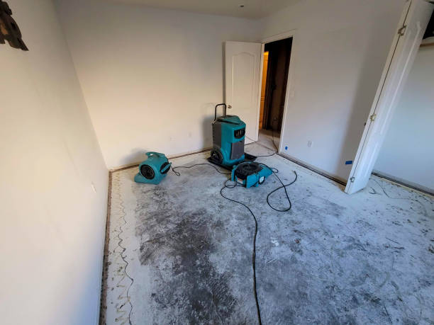 Best Emergency water damage restoration  in Rio Vista, CA