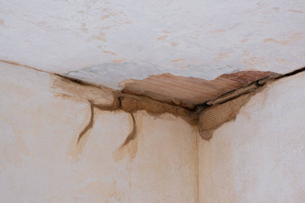 Best Residential water damage restoration  in Rio Vista, CA