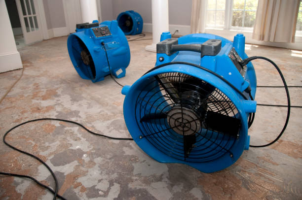 Best Fire Damage Restoration  in Rio Vista, CA