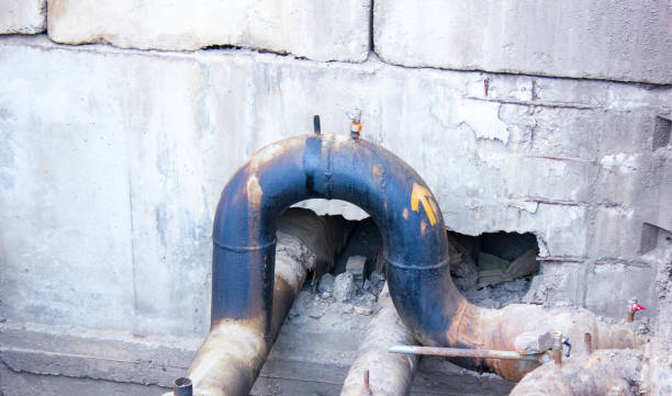 Best Professional water damage repair  in Rio Vista, CA